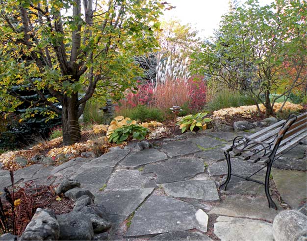 garden