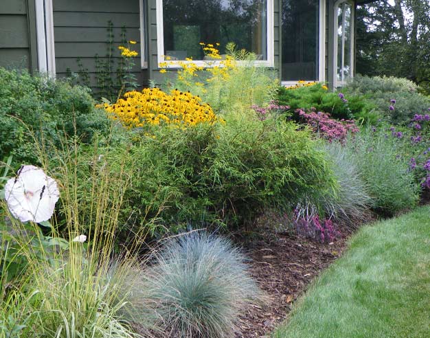 garden